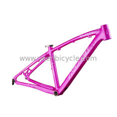 Trung Quốc 26 inch Aluminum Bike Frame Lady's Hardtail Xc mountain bike Phụ nữ TM160L nhà cung cấp